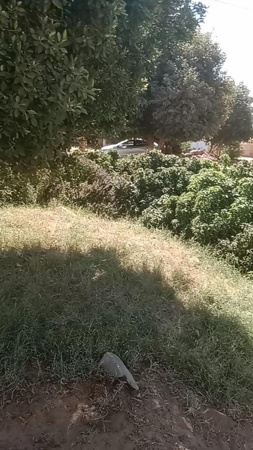 بيت شمس 阿斯旺 外观 照片