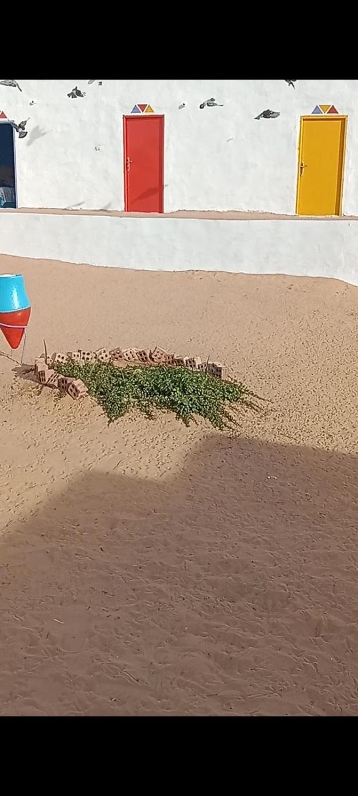 بيت شمس 阿斯旺 外观 照片